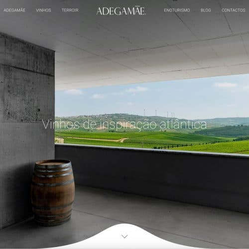 Website Adegamãe